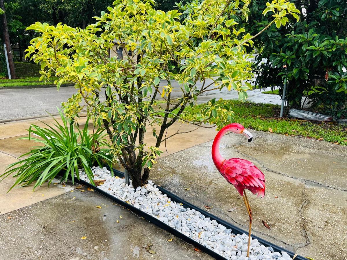 3Bdrm Fruit Tree Home Near Downtown Orlando Exterior foto